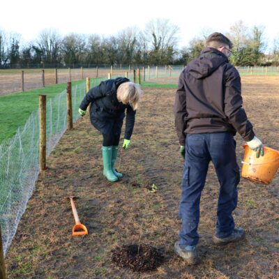 Planting at the Community Woodland