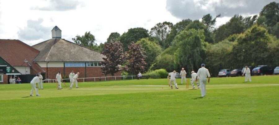 Cricket at Danbury